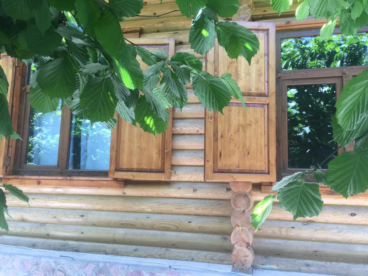 Villa Fairy Tale Qəbələ Exterior foto